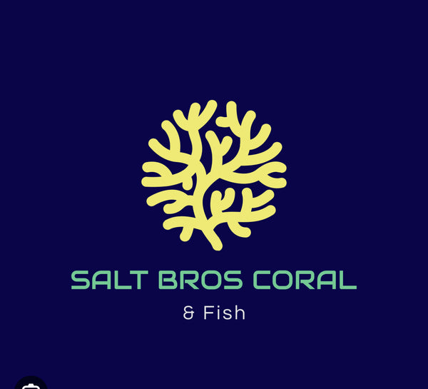 Salt Bros Coral and Fish